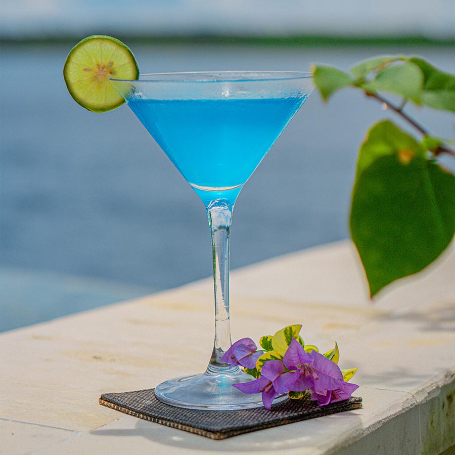 Blue Kamikaze