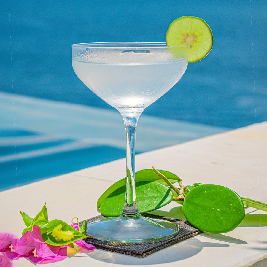 Daiquiri