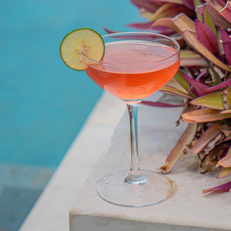 Cosmopolitan