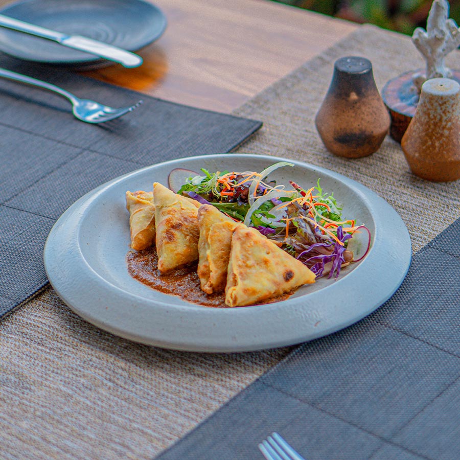 Chicken Samosa